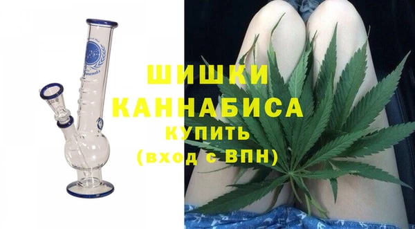 индика Алзамай
