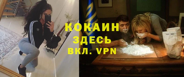 индика Алзамай