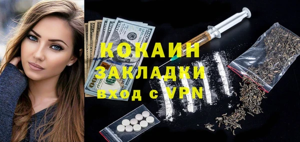 индика Алзамай